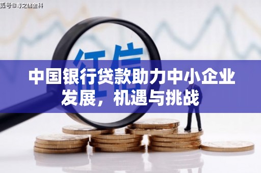 塔河中国银行贷款助力中小企业发展，机遇与挑战