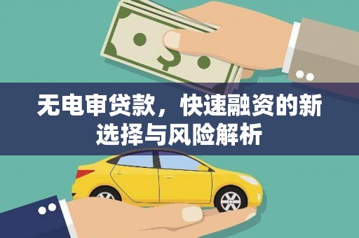 田阳无电审贷款，快速融资的新选择与风险解析