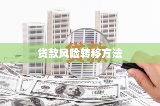 淳化贷款风险转移方法