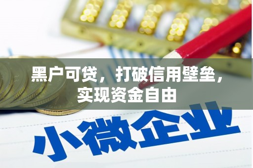 东兰黑户可贷，打破信用壁垒，实现资金自由