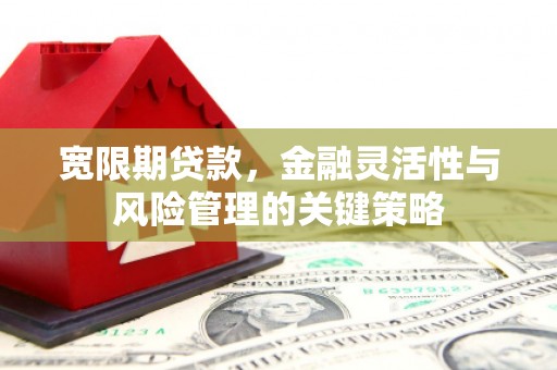 江南宽限期贷款，金融灵活性与风险管理的关键策略