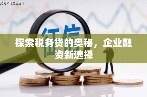 张北探索税务贷的奥秘，企业融资新选择