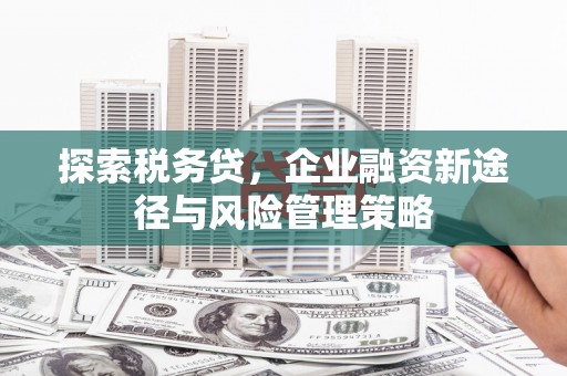 东兰探索税务贷，企业融资新途径与风险管理策略