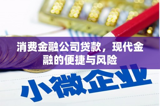 普湾新区消费金融公司贷款，现代金融的便捷与风险