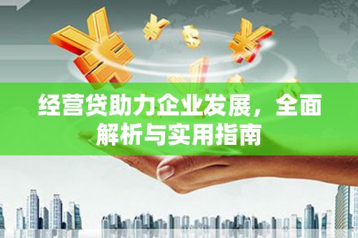 东兰经营贷助力企业发展，全面解析与实用指南