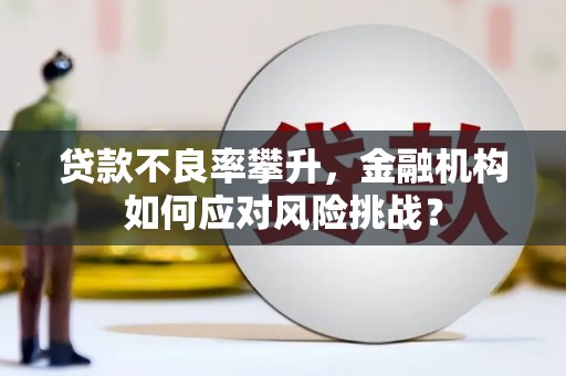 桑日贷款不良率攀升，金融机构如何应对风险挑战？