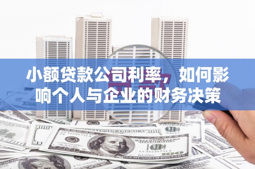 淳化小额贷款公司利率，如何影响个人与企业的财务决策
