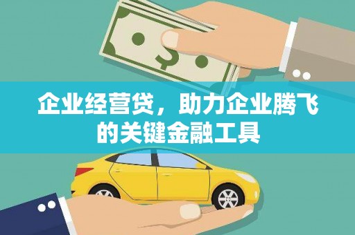 宜阳企业经营贷，助力企业腾飞的关键金融工具