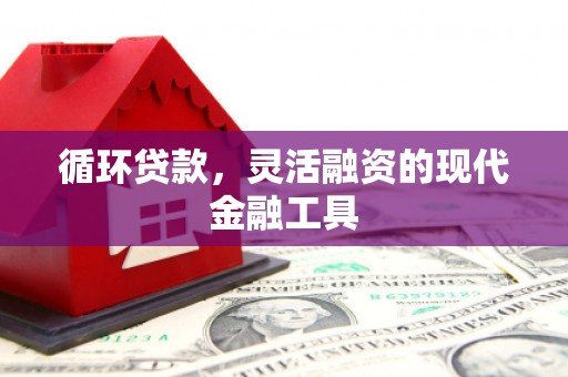 闽清循环贷款，灵活融资的现代金融工具
