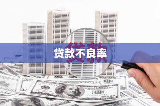 陇南贷款不良率