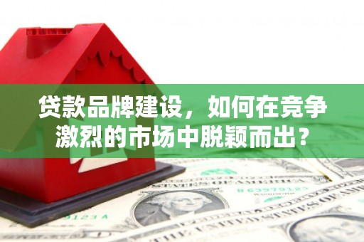 新埤贷款品牌建设，如何在竞争激烈的市场中脱颖而出？