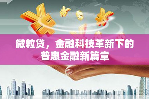 临泉微粒贷，金融科技革新下的普惠金融新篇章