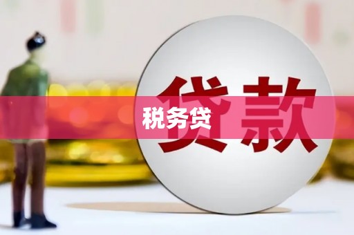 罗定税务贷