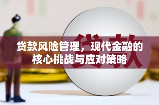 金湾贷款风险管理，现代金融的核心挑战与应对策略