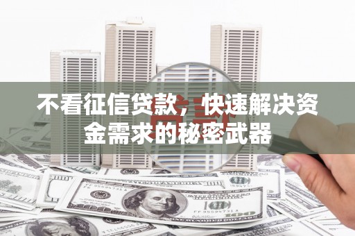 那玛夏不看征信贷款，快速解决资金需求的秘密武器