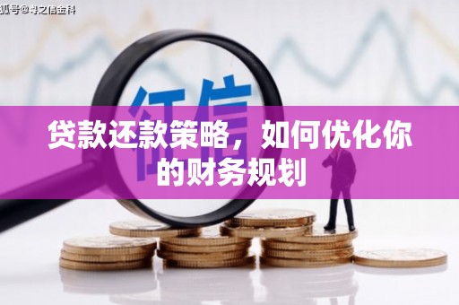 那玛夏贷款还款策略，如何优化你的财务规划