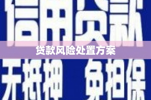 咸宁贷款风险处置方案