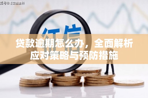 海原贷款逾期怎么办，全面解析应对策略与预防措施