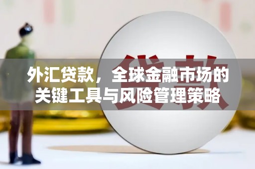 揭西外汇贷款，全球金融市场的关键工具与风险管理策略
