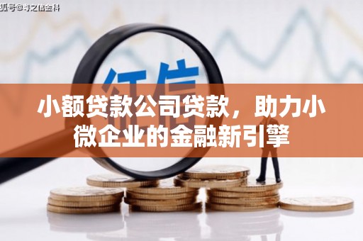 集美小额贷款公司贷款，助力小微企业的金融新引擎
