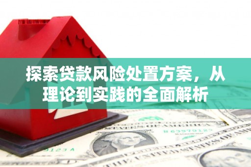 集美探索贷款风险处置方案，从理论到实践的全面解析