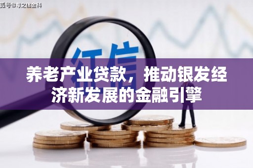 鹰手营子矿区养老产业贷款，推动银发经济新发展的金融引擎
