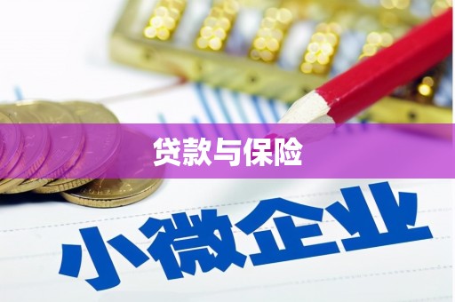 湖南贷款与保险