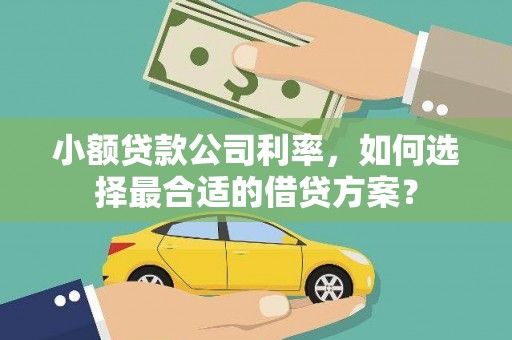 湖南小额贷款公司利率，如何选择最合适的借贷方案？