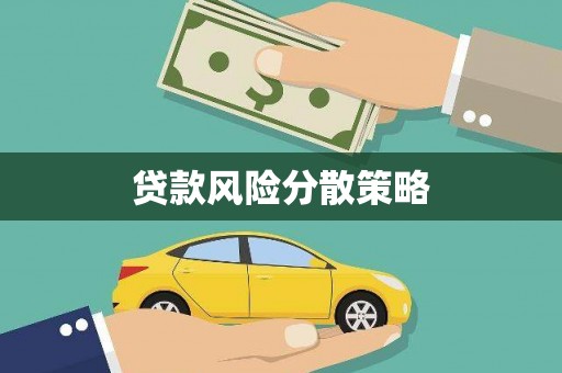 广南贷款风险分散策略