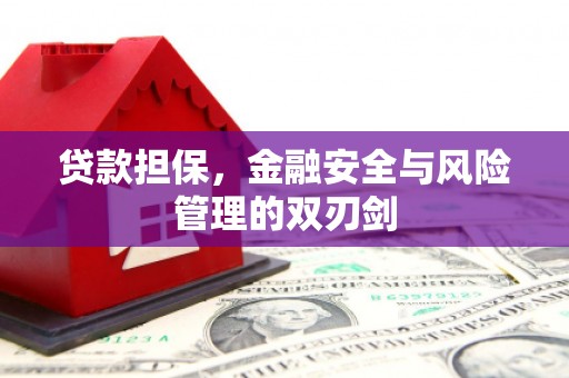 南庄贷款担保，金融安全与风险管理的双刃剑