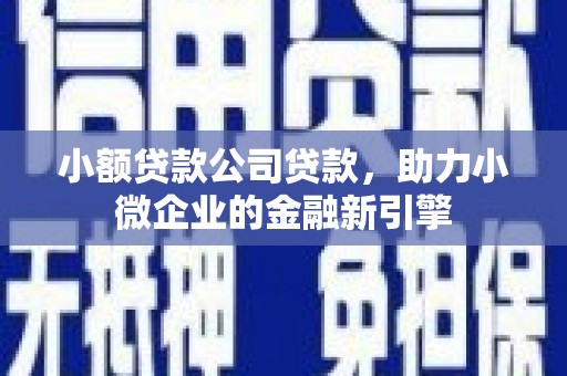 荣县小额贷款公司贷款，助力小微企业的金融新引擎