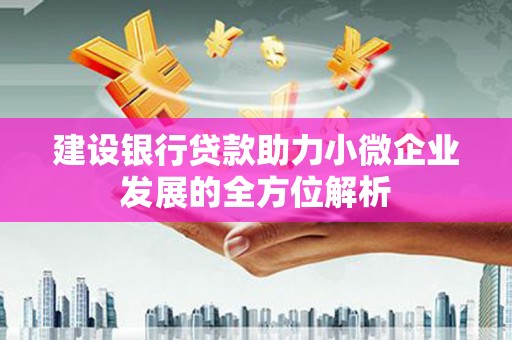 南庄建设银行贷款助力小微企业发展的全方位解析