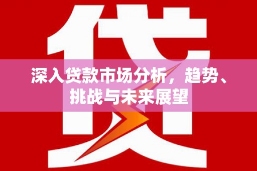 丰泽深入贷款市场分析，趋势、挑战与未来展望