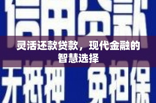北海新区灵活还款贷款，现代金融的智慧选择