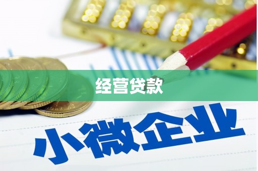 北海新区经营贷款