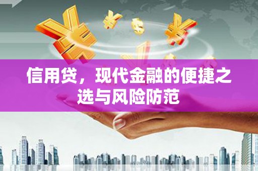 北海新区信用贷，现代金融的便捷之选与风险防范