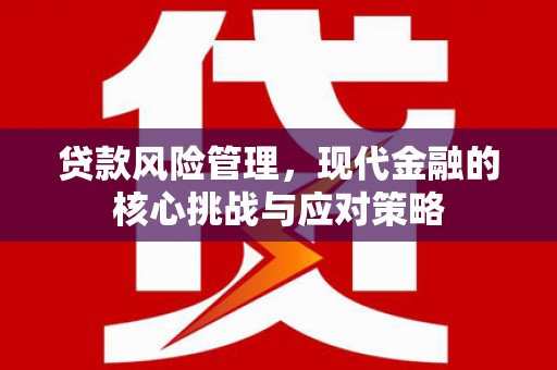 安宁贷款风险管理，现代金融的核心挑战与应对策略
