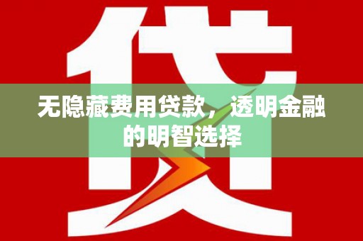宁强无隐藏费用贷款，透明金融的明智选择
