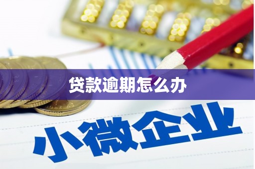 建水贷款逾期怎么办