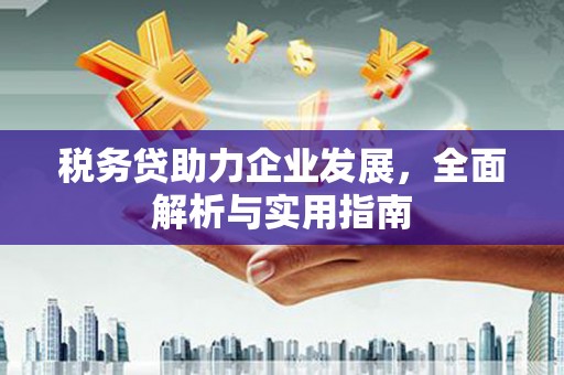 鹰手营子矿区税务贷助力企业发展，全面解析与实用指南
