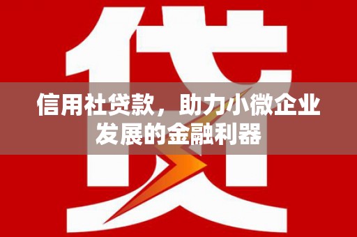广南信用社贷款，助力小微企业发展的金融利器