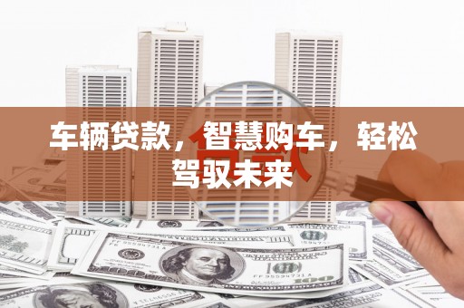 甲仙车辆贷款，智慧购车，轻松驾驭未来