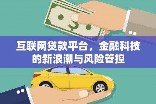 丰泽互联网贷款平台，金融科技的新浪潮与风险管控