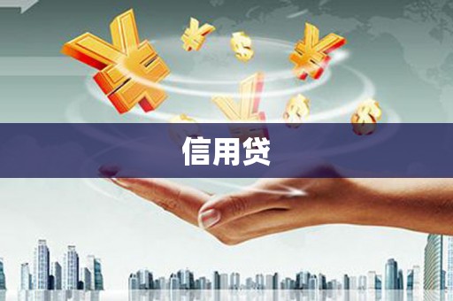 勉县信用贷