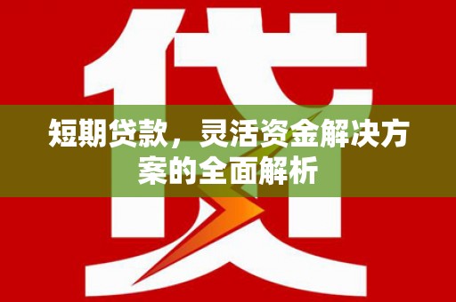 勉县短期贷款，灵活资金解决方案的全面解析