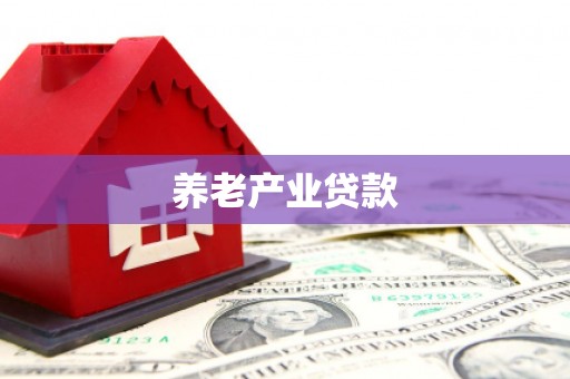 陆丰养老产业贷款