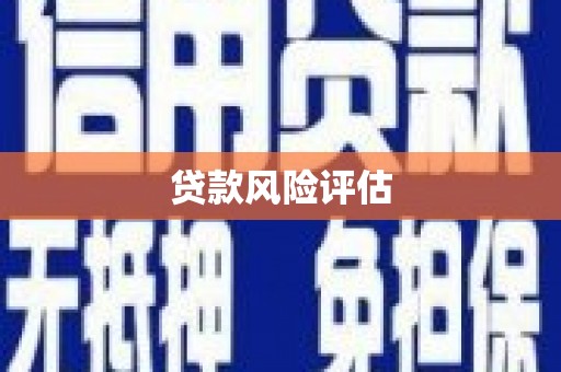 陆丰贷款风险评估