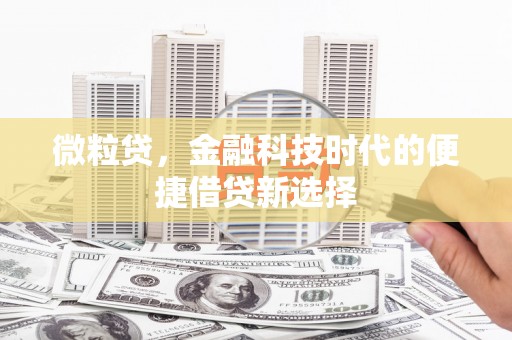 东港微粒贷，金融科技时代的便捷借贷新选择