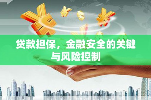 东港贷款担保，金融安全的关键与风险控制