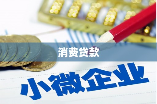 乐东消费贷款
